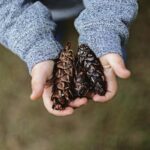 Donatie aan Kloosterbeleving