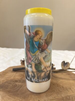 Noveenkaars H. Michael
